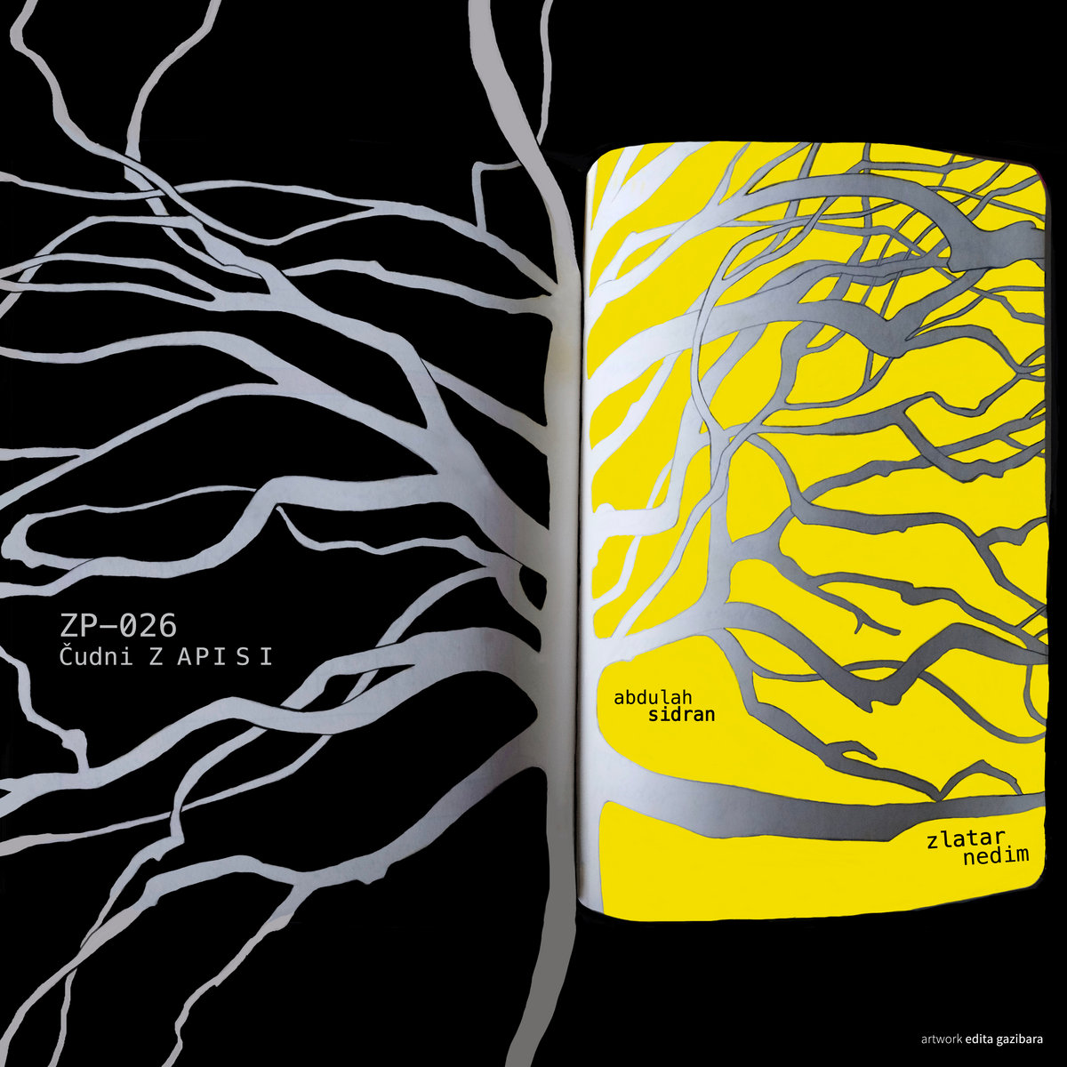 Prvi singl s novog albuma "Čudni zapisi" autora Nedima Zlatara